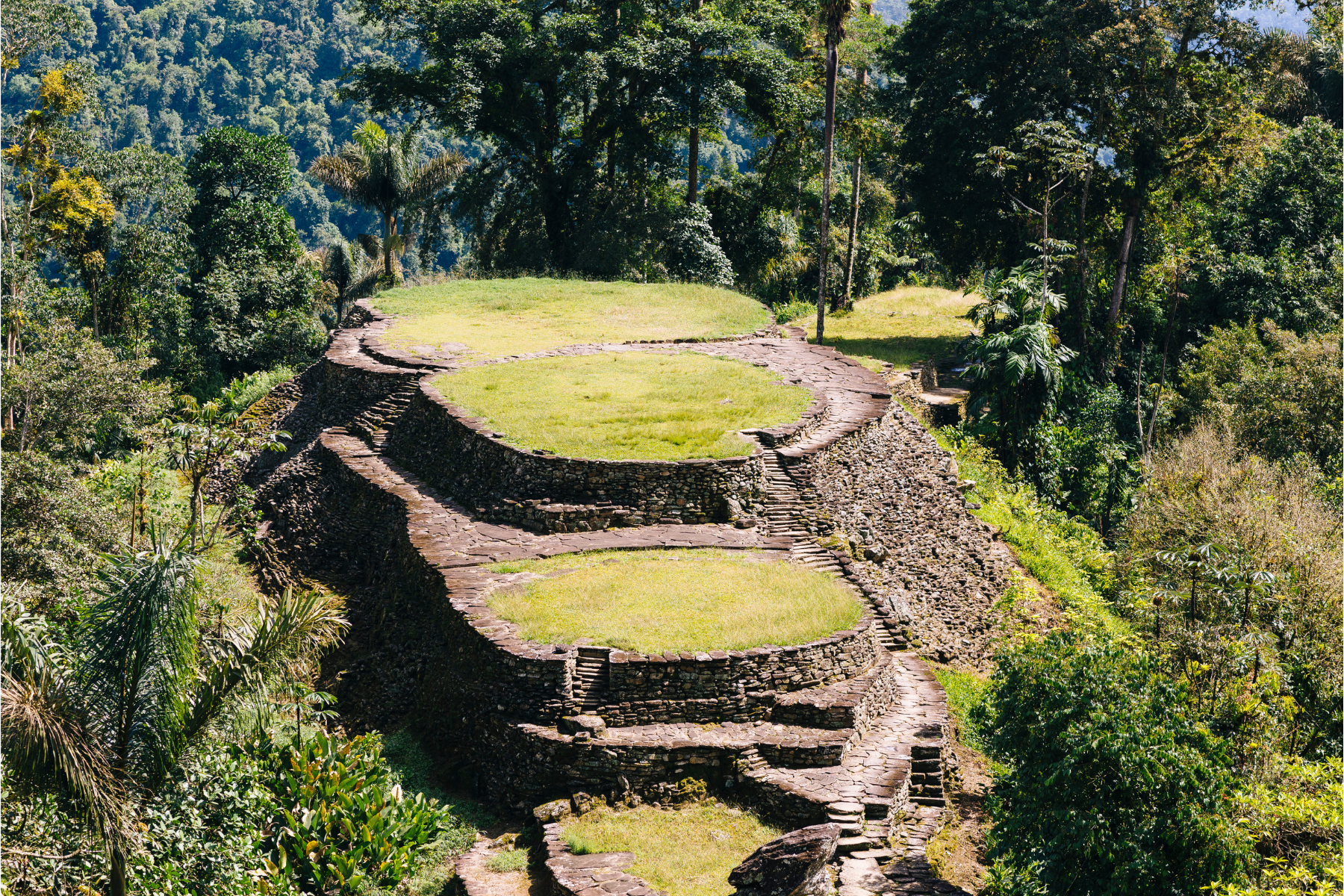 Read more about the article ¿Qué es y dónde se encuentra la Ciudad Perdida?