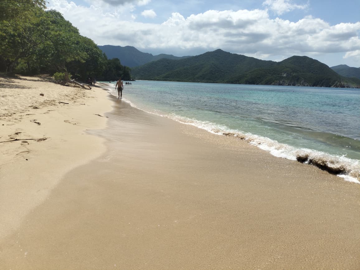 WhatsApp Image 2025-10-27 at 3.53.58 PM